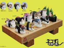 Sushi Cats 握壽司貓