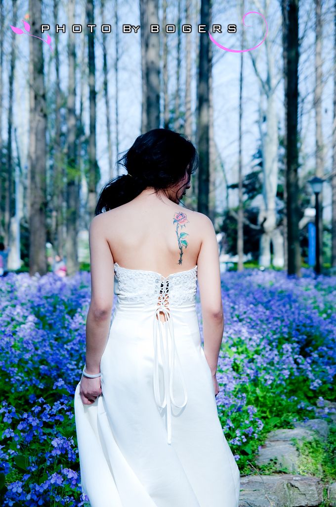 http://i.dcview.tw/gallery/201004/24452d28a6021207d975d874b889ad65.jpg