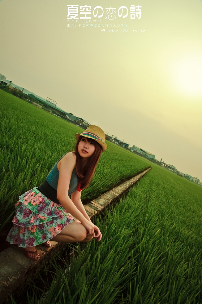 http://i.dcview.tw/gallery/201004/964a5f8340561accbe412dc698023b56.jpg