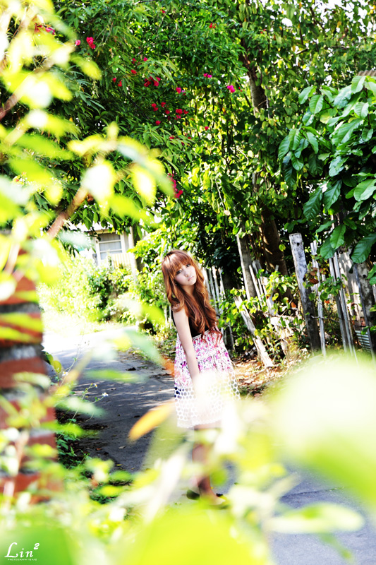 http://i.dcview.tw/gallery/201004/9d43fde93820764a644702089830c0d3.jpg