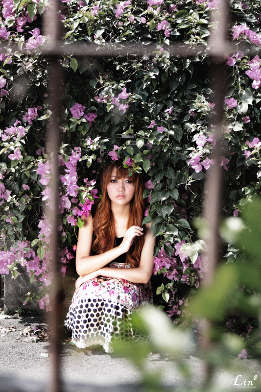 http://i.dcview.tw/gallery/201004/e12c1ff3b1a85be4df9d8ede8c0ec7df.jpg