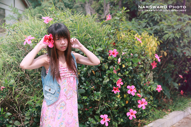 http://i.dcview.tw/gallery/201005/0955155378498c5869e42b790d830773.jpg