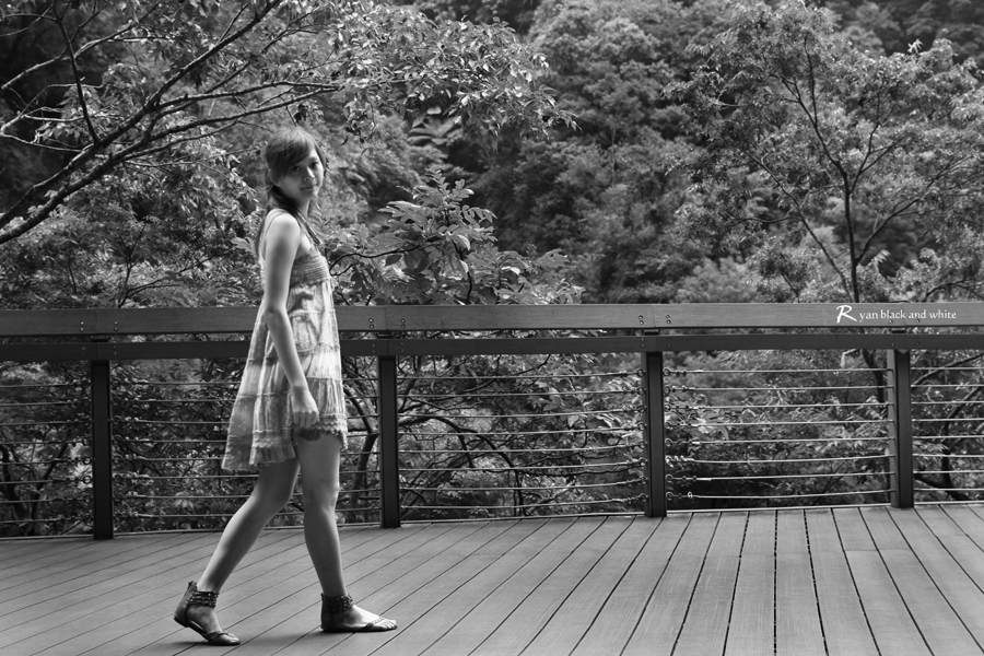http://i.dcview.tw/gallery/201005/166670974a63e4a7956c1928d695389c.jpg