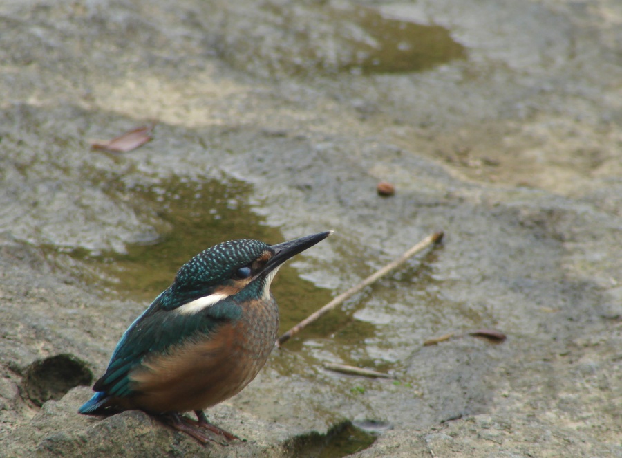 http://i.dcview.tw/gallery/201005/2421140150f0750acdfff39c836145e4.jpg