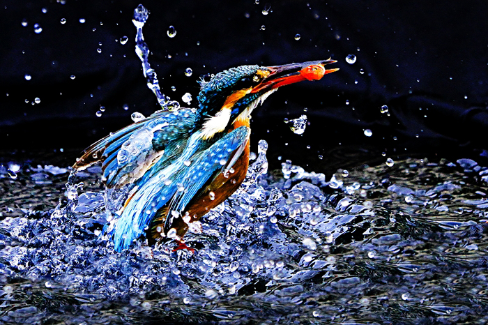 http://i.dcview.tw/gallery/201005/2afc143613de93984203cc86dc895d84.jpg