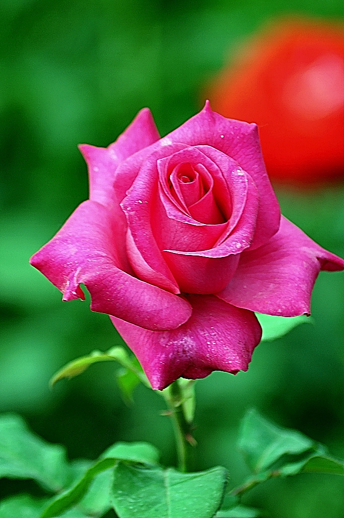 http://i.dcview.tw/gallery/201005/49c99d6fa5a370eb7839ac9c1e59d20d.jpg
