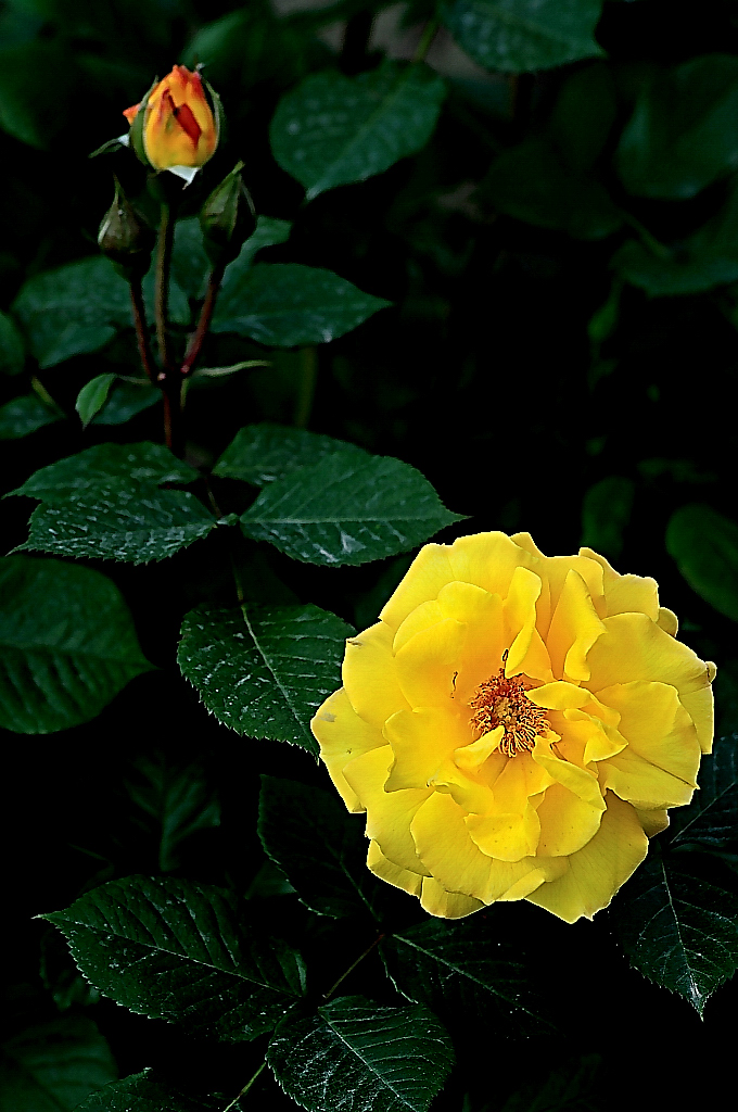 http://i.dcview.tw/gallery/201005/4f8a26d058d7cde809f0770cf8064060.jpg