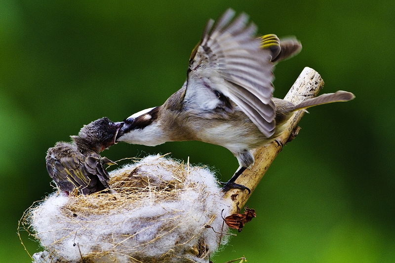 http://i.dcview.tw/gallery/201005/51806bf259d1d8668f22400ceb02a314.jpg