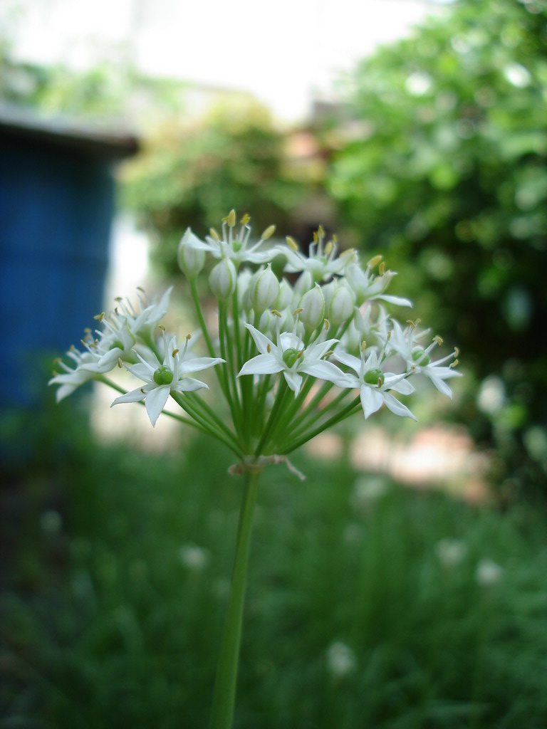 http://i.dcview.tw/gallery/201005/572c965f59254af82b9100095bd99841.jpg