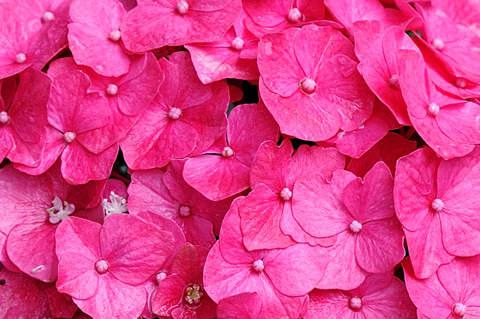 http://i.dcview.tw/gallery/201005/60132abf870e07985b4dbc67e75458cd.jpg