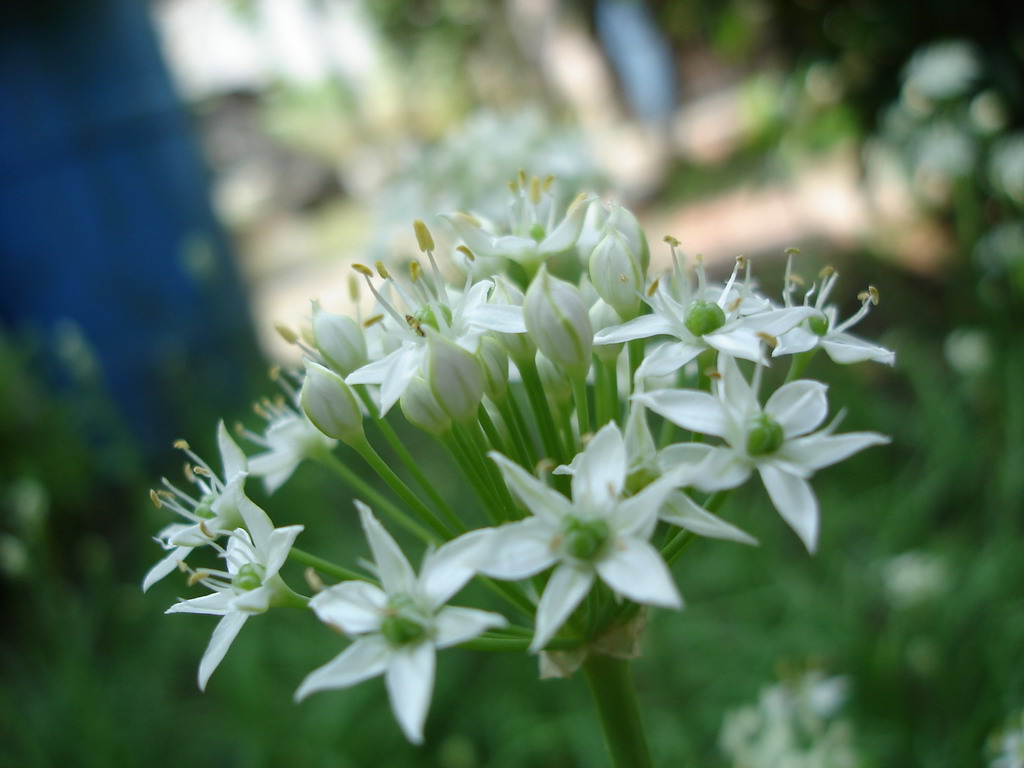 http://i.dcview.tw/gallery/201005/757bdb1eef67ec600b49a6e16dad63e4.jpg
