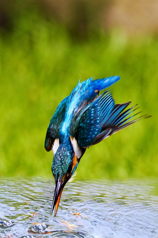 http://i.dcview.tw/gallery/201005/86c9b420675f8295815ac7b2a58c2d6a.jpg