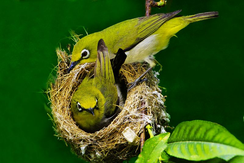 http://i.dcview.tw/gallery/201005/aab33cd2437259dc5db6064a6003d369.jpg
