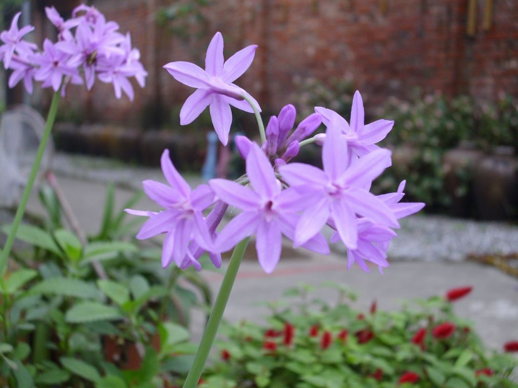 http://i.dcview.tw/gallery/201005/b54d1a3a13ac254b67f3d0be9092fe7e.jpg