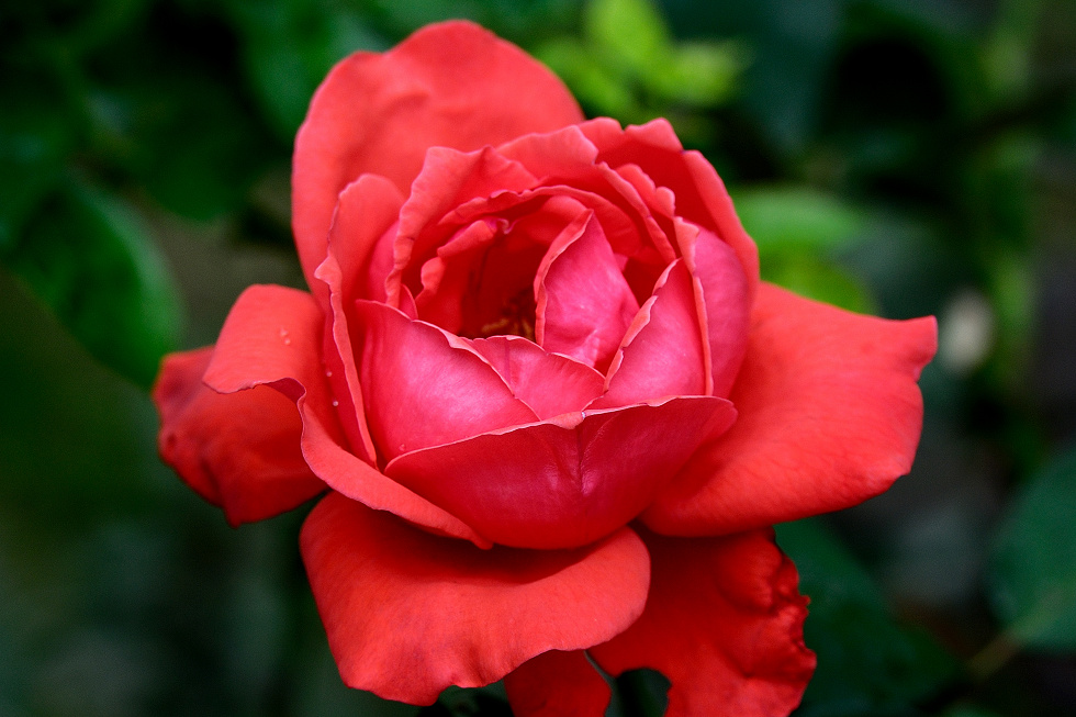 http://i.dcview.tw/gallery/201005/b6be3fa2d9f0c2415f6d83a1fb9d4ad8.jpg