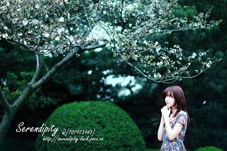 http://i.dcview.tw/gallery/201005/bd8da8619df6d81f3284f6a0ff51736f.jpg