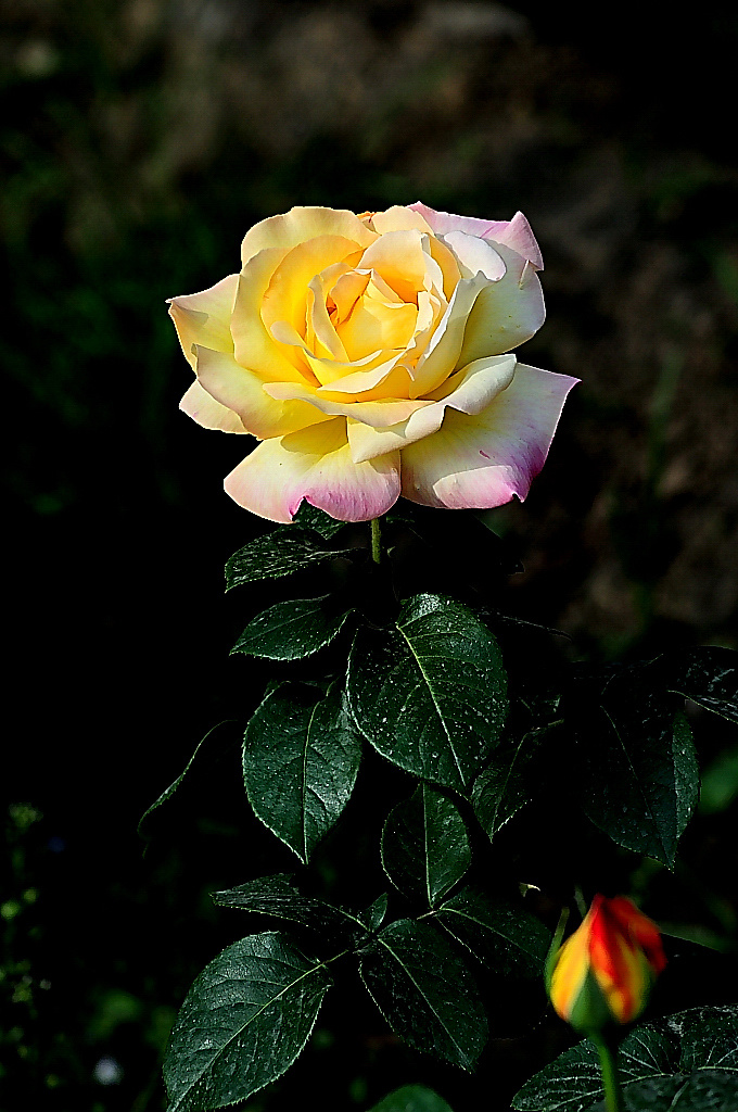 http://i.dcview.tw/gallery/201005/cb0529db635661b1ce55bfc9853ce0f3.jpg