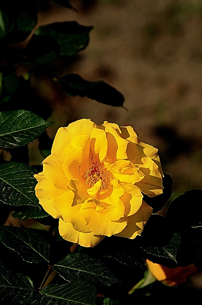 http://i.dcview.tw/gallery/201005/d2d58e5e6992085289f9f82e9aeb134d.jpg