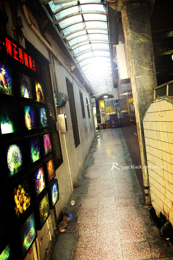 http://i.dcview.tw/gallery/201005/f6cb6bd41d9e0ffc5c3c22ca84f68d4c.jpg