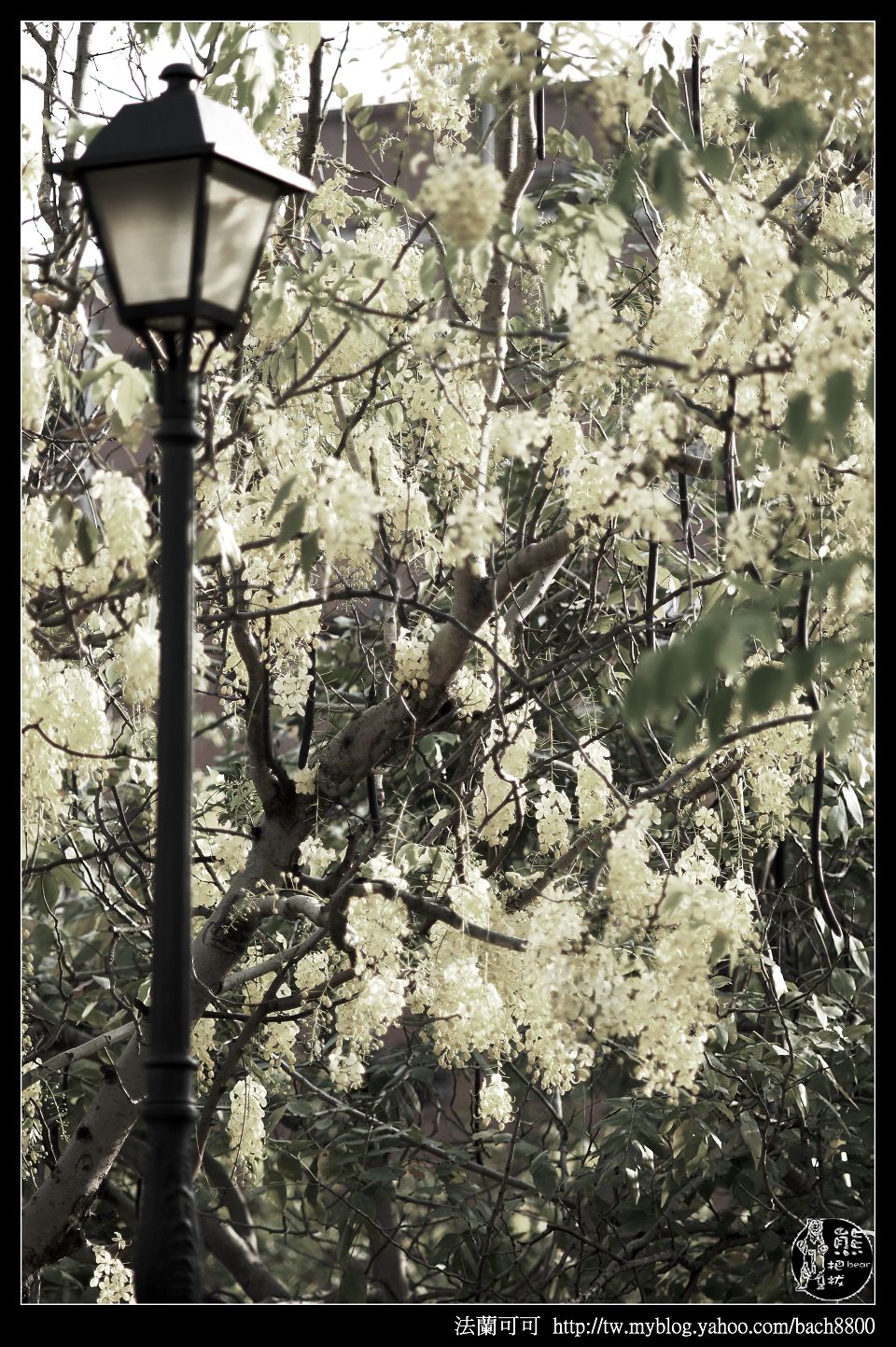 http://i.dcview.tw/gallery/201005/fb4e32bbe3fffb23c76f2eaa0f483224.jpg