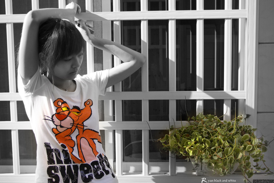 http://i.dcview.tw/gallery/201005/ff3c97865578de9a3014a6342c69e751.jpg
