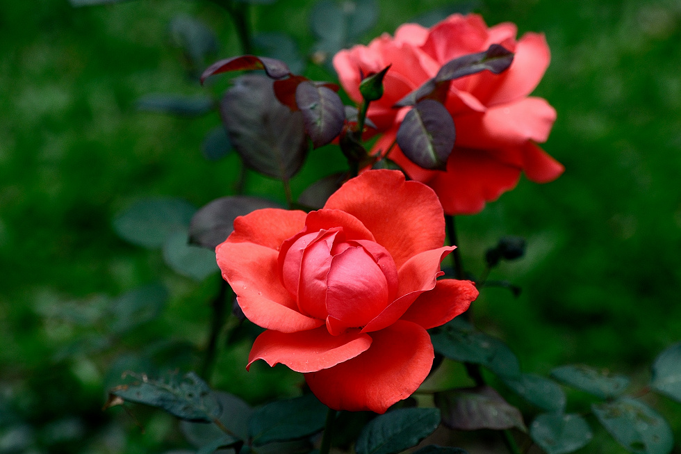 http://i.dcview.tw/gallery/201005/ff67949f526d62decdd989d27f6a3d4f.jpg