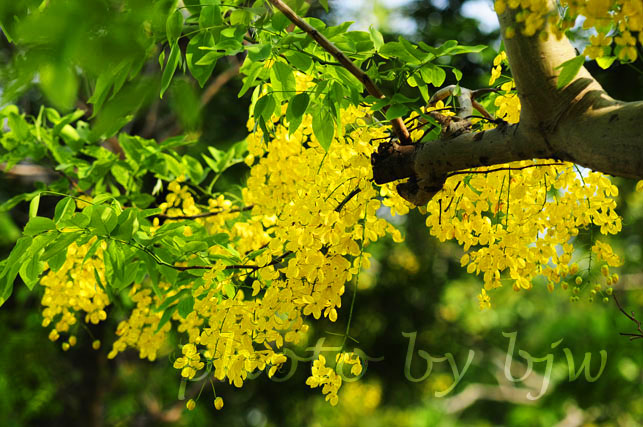 http://i.dcview.tw/gallery/201006/0159cf7f5ce438d196b2ba0b99ad8c50.jpg