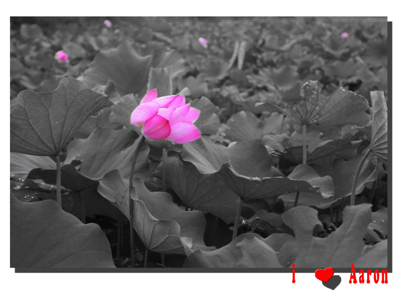 http://i.dcview.tw/gallery/201006/13e8032bd4f6a33501d3219a2267b70d.jpg
