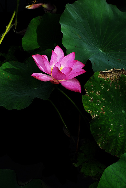 http://i.dcview.tw/gallery/201006/171f9fe25c8351d1eca77bedffe9386c.jpg