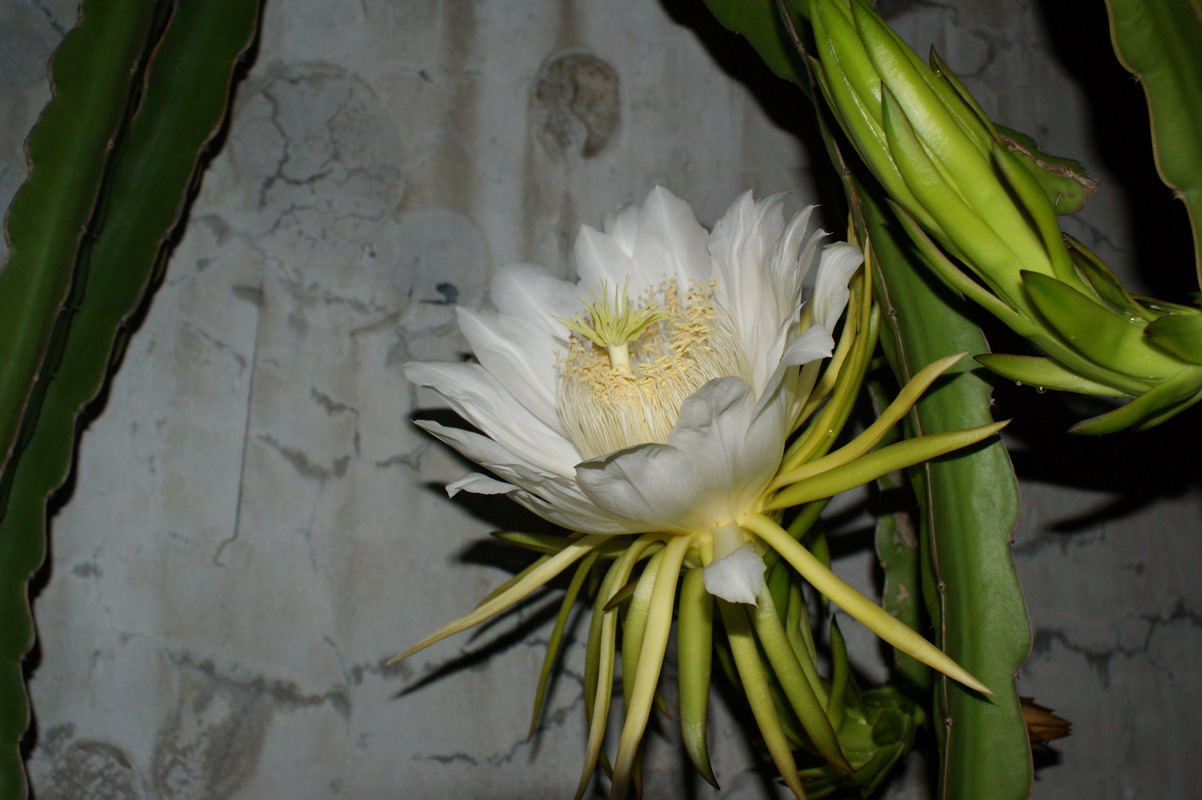 http://i.dcview.tw/gallery/201006/1a70d884affadaf137495923495e1a53.jpg