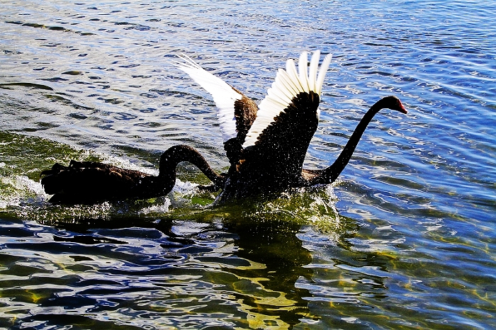 http://i.dcview.tw/gallery/201006/208ce57a17e0e58af576655b8cef2750.jpg