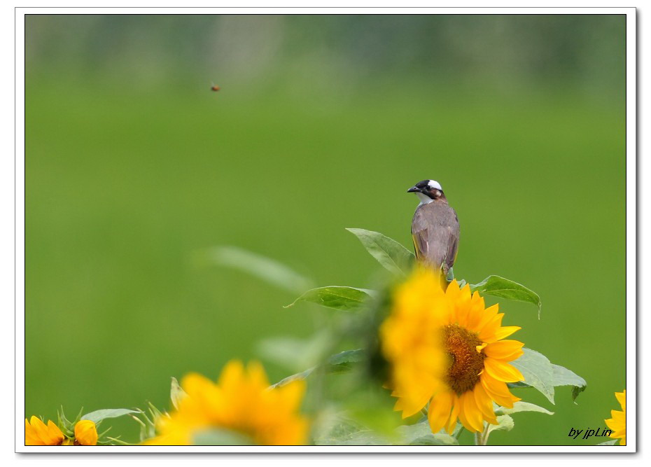 http://i.dcview.tw/gallery/201006/22568237143e7622727698f79d0a8b09.jpg
