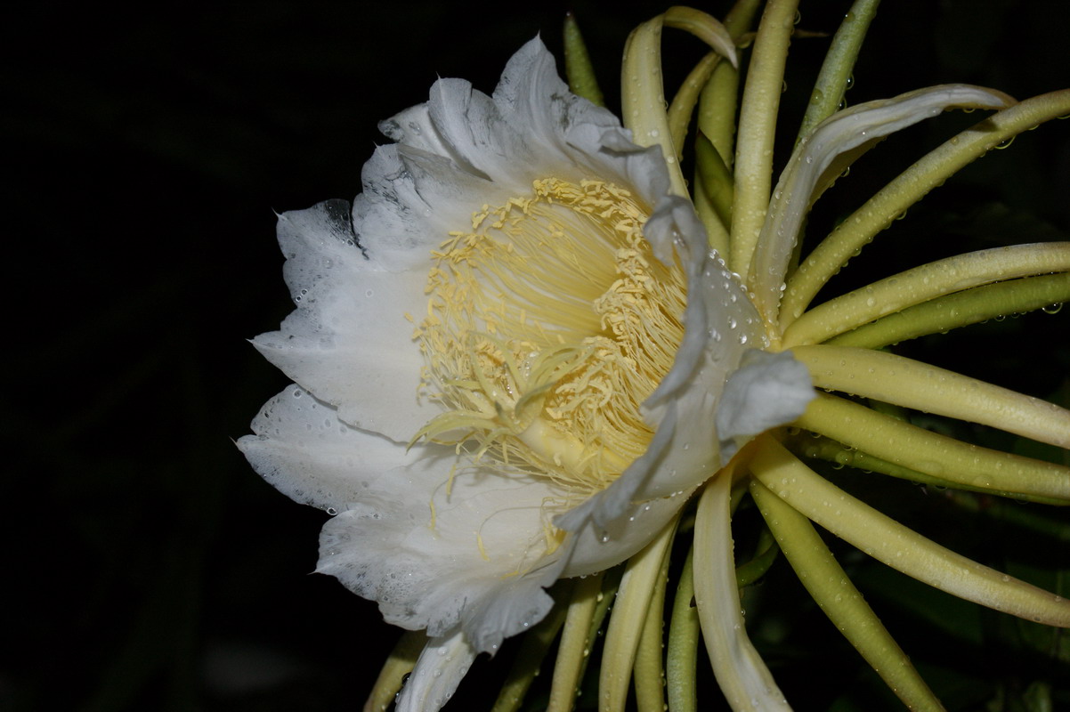 http://i.dcview.tw/gallery/201006/2f937df881c05c6373e0b6fc35ef8690.jpg