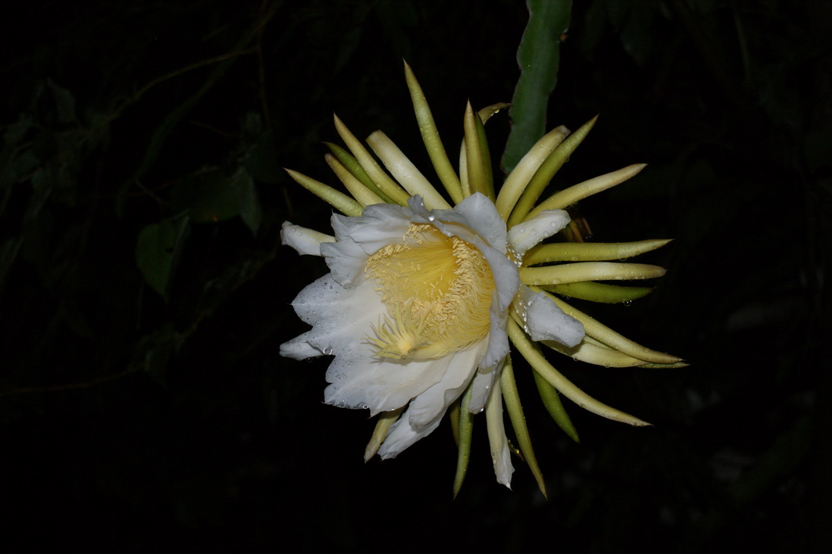 http://i.dcview.tw/gallery/201006/32014904ecb836863d604cce91bba5e2.jpg