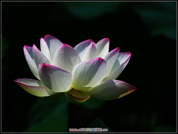 http://i.dcview.tw/gallery/201006/3315e341e5515a3abacd2c250a9aa0d9.jpg