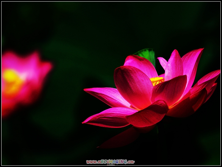 http://i.dcview.tw/gallery/201006/3d1334633d343cd2343b53d0c8dea8cf.jpg