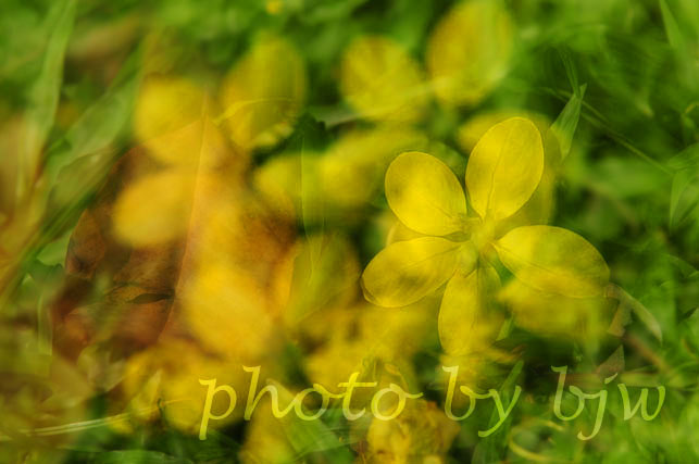 http://i.dcview.tw/gallery/201006/40ad37a5ed9a2ea4c82c9d252a6bbf57.jpg