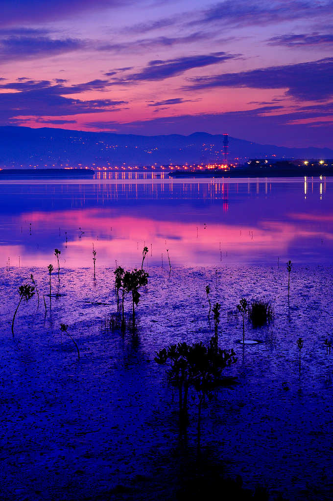 http://i.dcview.tw/gallery/201006/4457f6c6f3f3e11683ddb3eaab07db7b.jpg