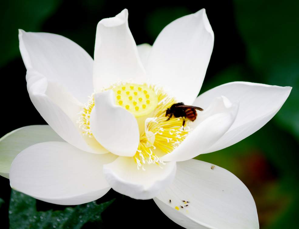 http://i.dcview.tw/gallery/201006/45bb43b230dd0eec62c14f509abecb96.jpg