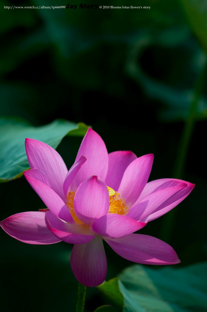 http://i.dcview.tw/gallery/201006/48f997043e6813751a00a116681b2512.jpg