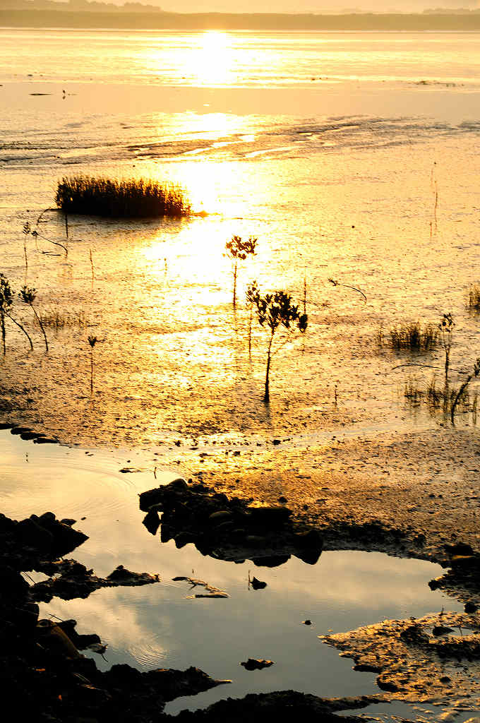 http://i.dcview.tw/gallery/201006/49e5c49661c546965ed9c56ad91a436a.jpg
