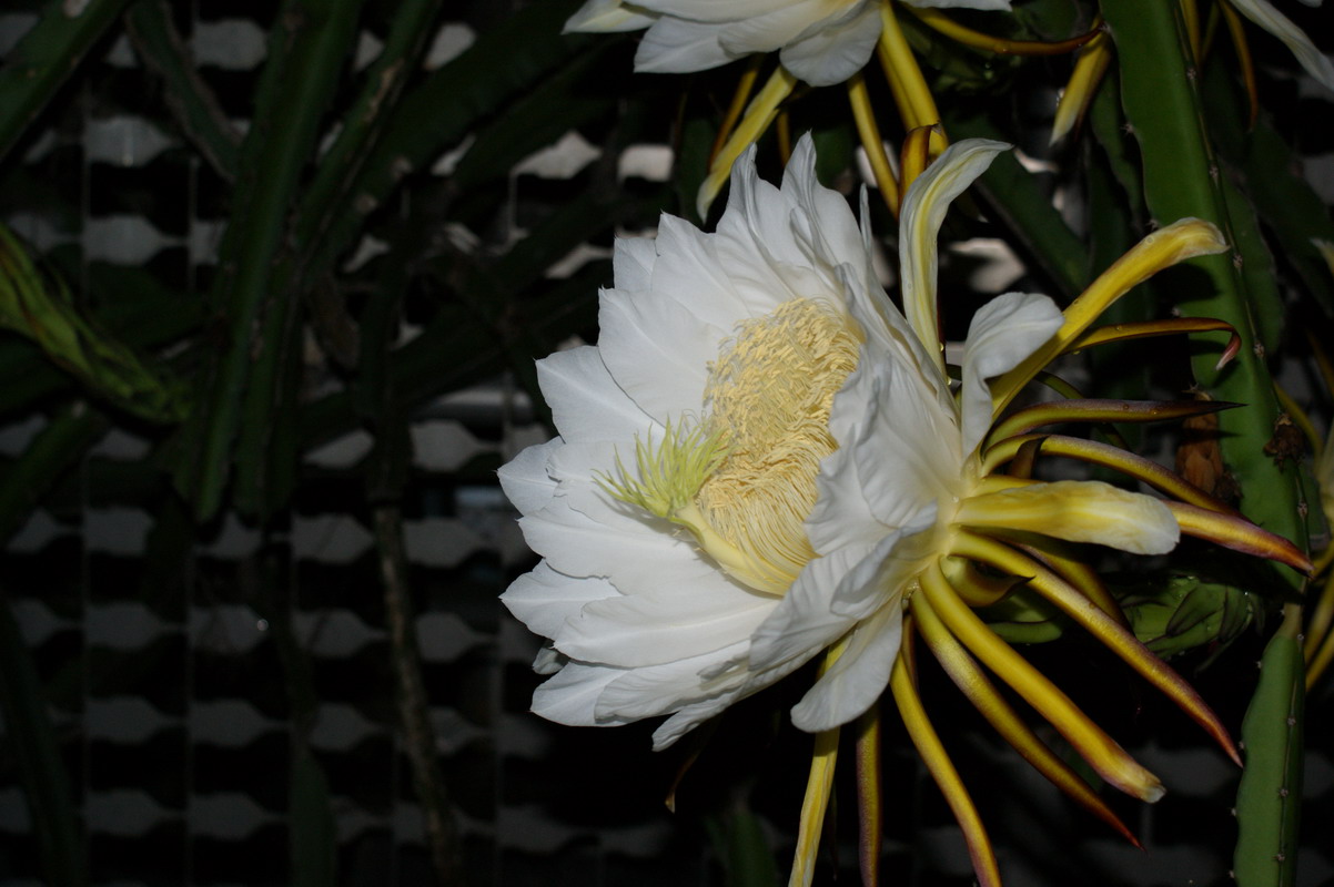 http://i.dcview.tw/gallery/201006/533f938391f36bc4bcb1b8d8e787ea66.jpg