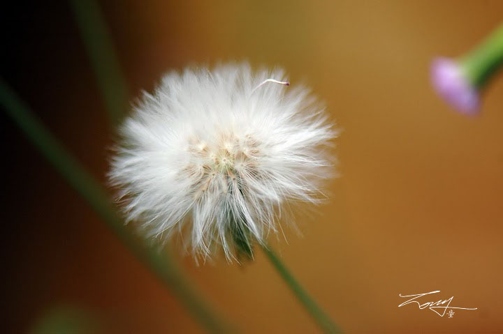 http://i.dcview.tw/gallery/201006/55e5183d9a8ff029be41df6b863fda30.jpg
