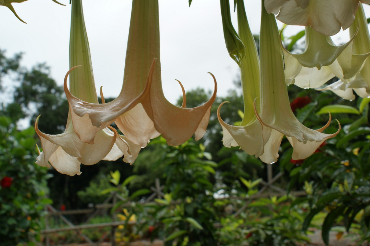 http://i.dcview.tw/gallery/201006/57d172dbad778caa350357a917c829d5.jpg