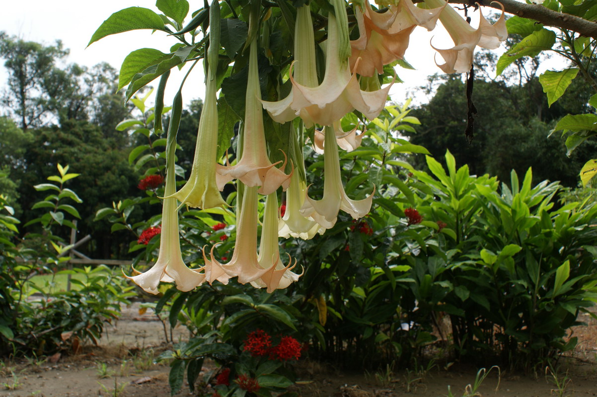http://i.dcview.tw/gallery/201006/6541ebce74db0d88de6b08f5ab4d5997.jpg