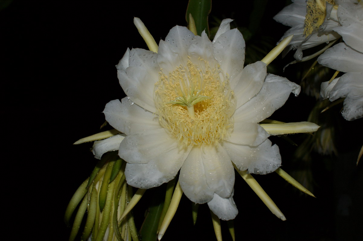 http://i.dcview.tw/gallery/201006/6a3df8beeed862cb69e7d8452565c1a4.jpg