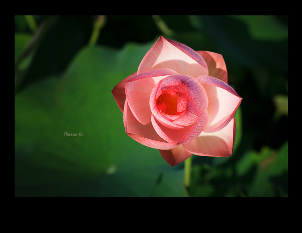 http://i.dcview.tw/gallery/201006/6a9b65c19abd4e68d7e7e94b9bf02da6.jpg