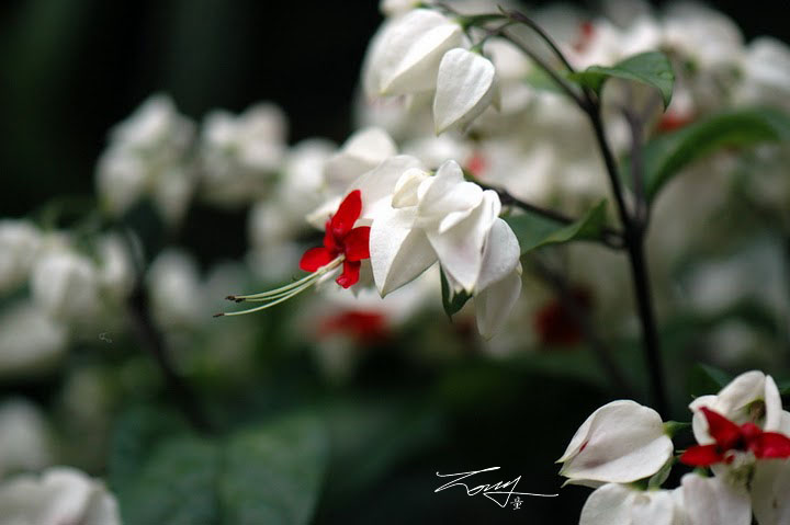 http://i.dcview.tw/gallery/201006/6e0555435065a72c586d5bb76af0c10d.jpg