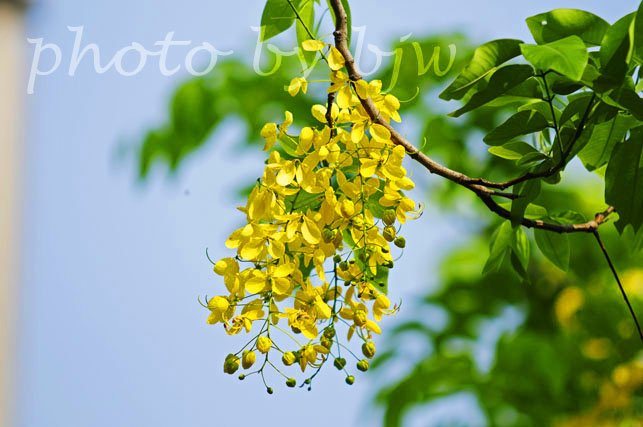 http://i.dcview.tw/gallery/201006/7766ce971bc3faf6994e56f5be909cca.jpg