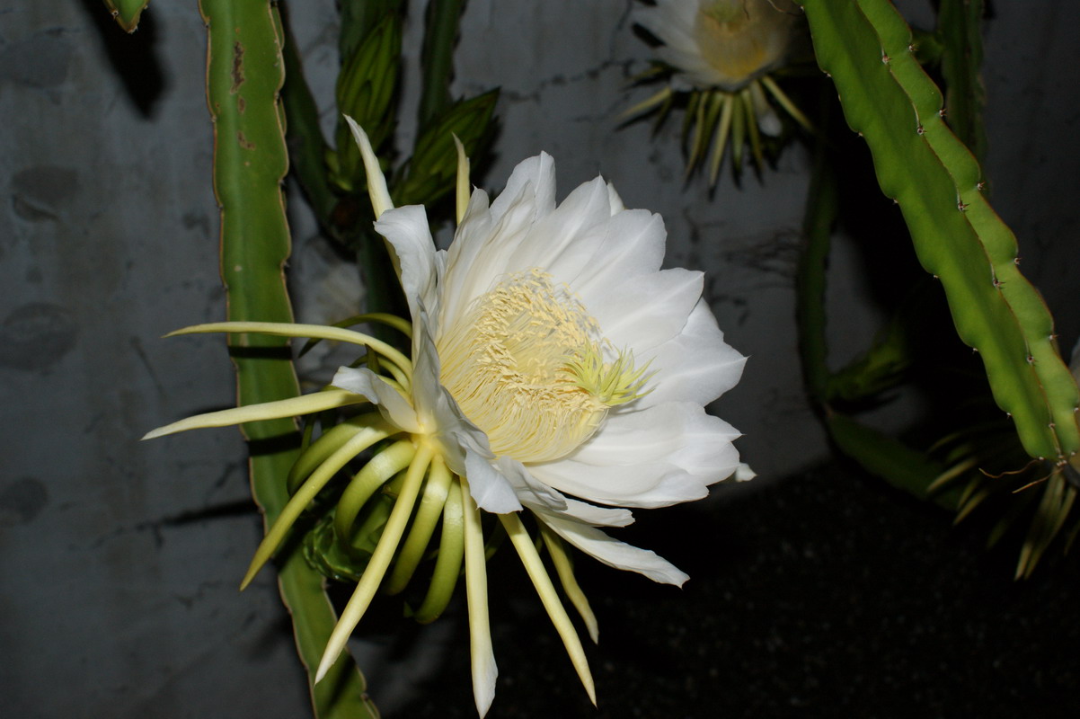 http://i.dcview.tw/gallery/201006/826880ad0d6530740f865aec7f88742b.jpg